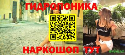 молекула духа Волжский