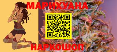 гидра Волгодонск