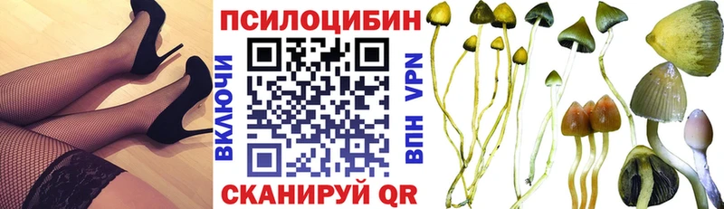 хочу   KRAKEN зеркало  Галлюциногенные грибы Magic Shrooms  Кисловодск 