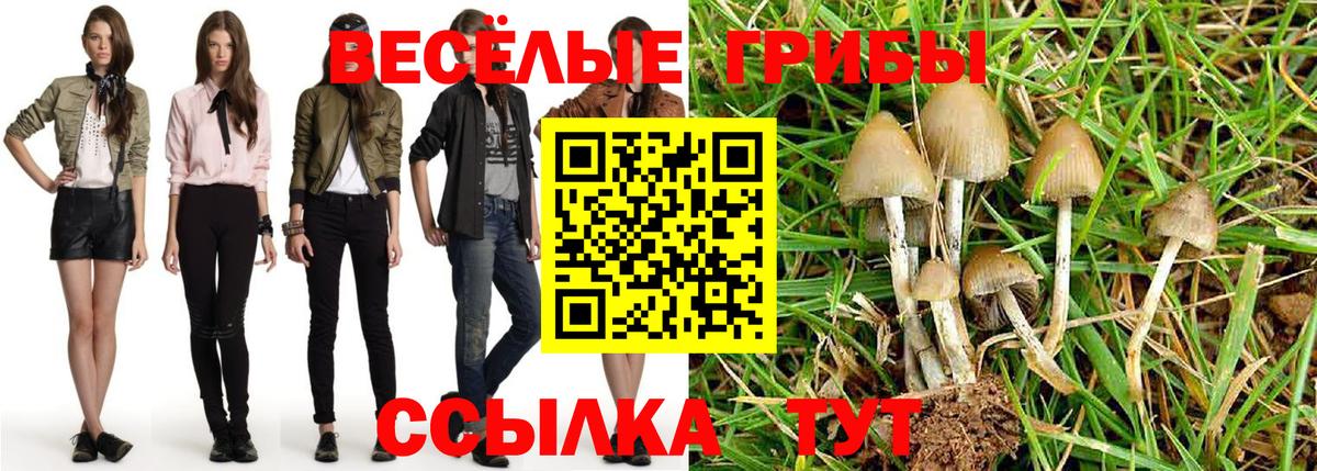 Галлюциногенные грибы ЛСД  Вход с VPN  Кисловодск 